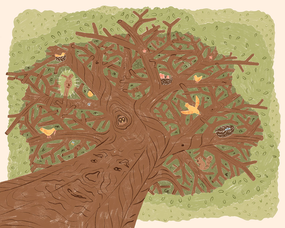 Celtic Dog Creative launches debut kickstarter campaign for The Adventures of Twigley